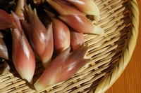 湿気の多い時期のおススメの食べ物！！ 2018/06/27 12:18:00
