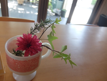 本日オープンです♪
