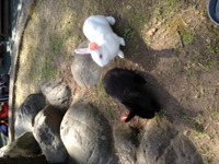平川動物園