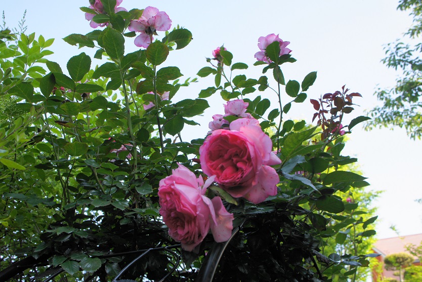 一年で一番華やぐ時