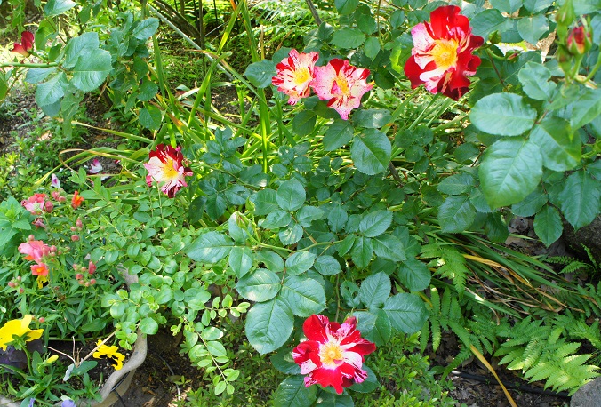 一年で一番華やぐ時