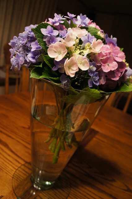 紫陽花のぶーけ
