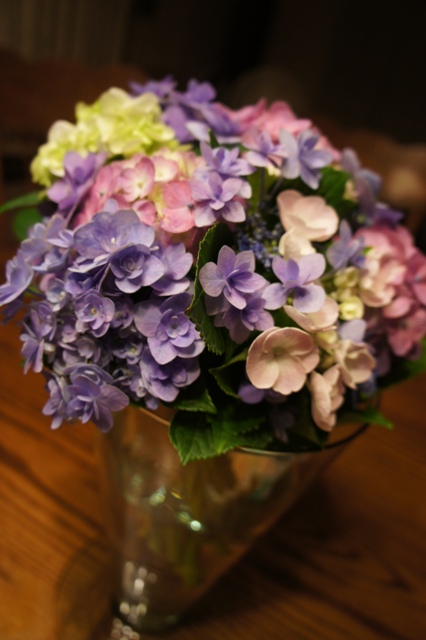 紫陽花のぶーけ
