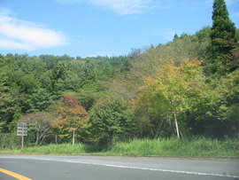 霧島路は
