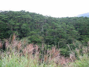 初秋の霧島路