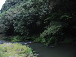 初秋の霧島路・続き