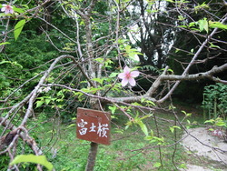 大人の一日遠足・続き