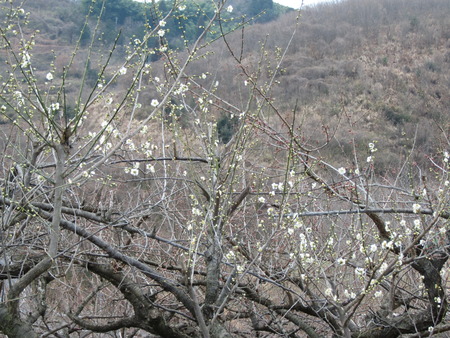 早すぎた?