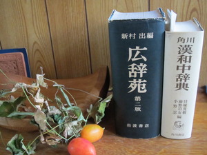 PCと辞書