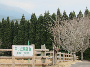 久しぶりの霧島へ