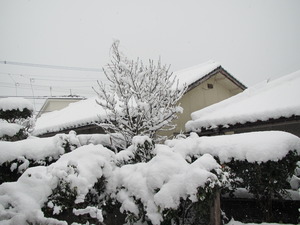 大雪のおおつごもり