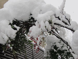 大雪のおおつごもり