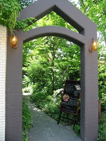 緑のオアシス、素敵な喫茶店