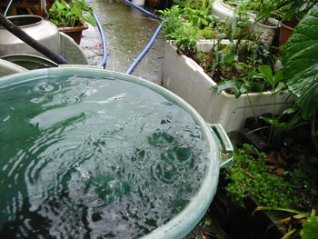 雨・雨・・雨・・・・・