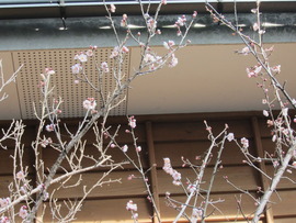 穏やか