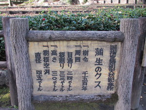 初詣