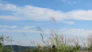 高原の秋