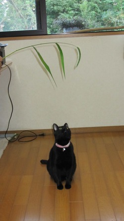 高原の秋