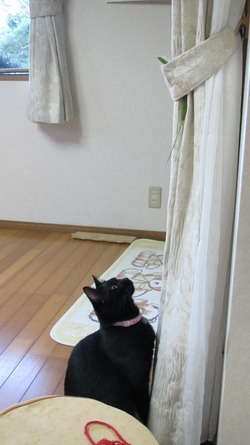 高原の秋