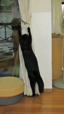 高原の秋