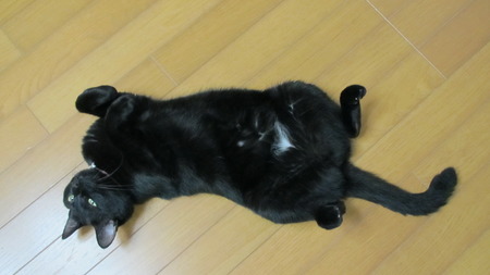 高原の秋