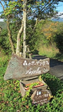 霧島通い【Ⅳ】