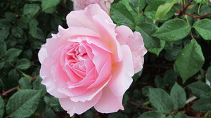 "<br