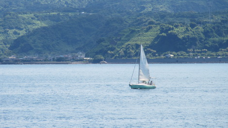 夏の海