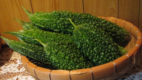 太陽の贈り物