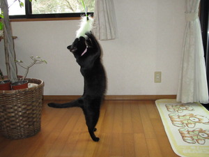 そろそろ
