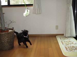 そろそろ