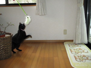 そろそろ