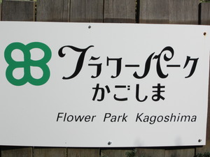 鹿児島に託された桜
