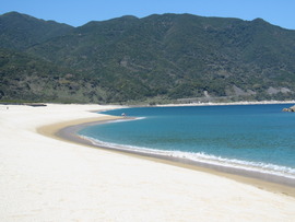 春の海は