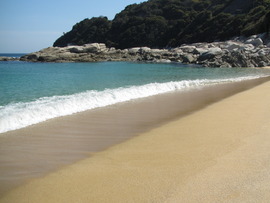 春の海は
