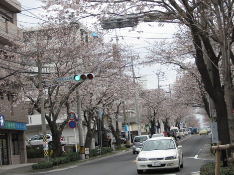 団地の