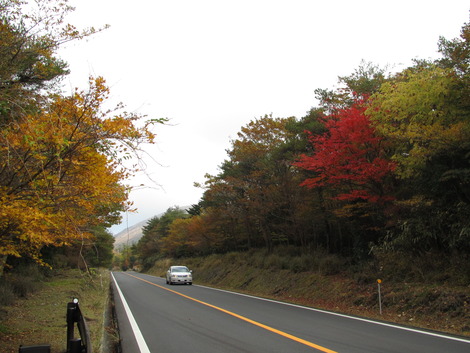 秋の霧島路