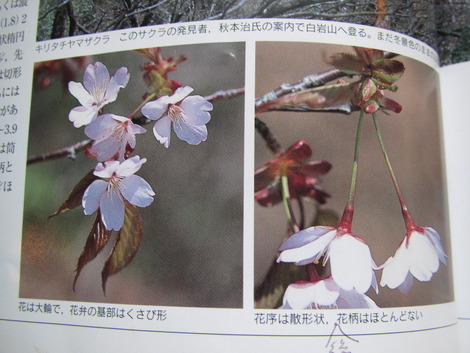 伝承の形 【Ⅲ】