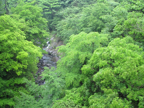 伝承の形 【Ⅲ】