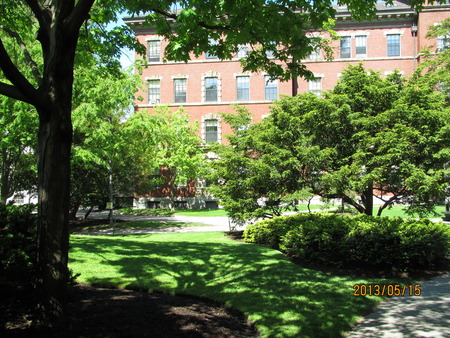 最高峰の大学