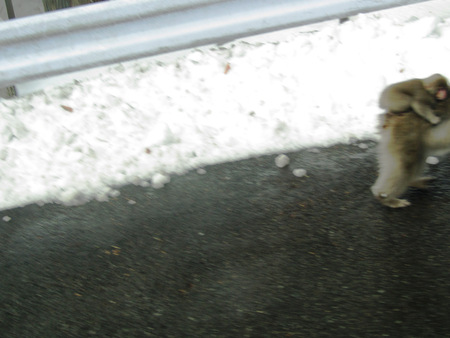 雪の日光【Ⅲ】