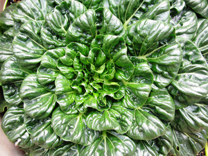 元気野菜