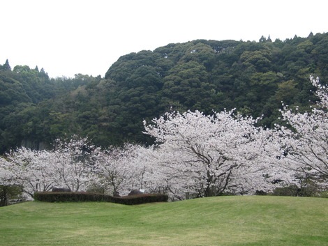 花曇り