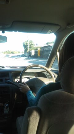 NICO TRUNK へ