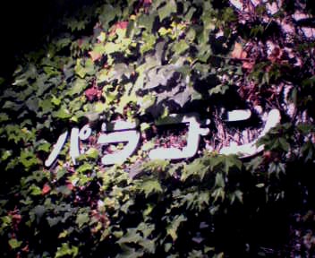 久しぶりにぐっすり眠れた。