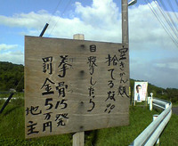 七夕RIDE、開聞駅まで。