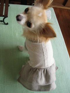わんこ服試作品♪