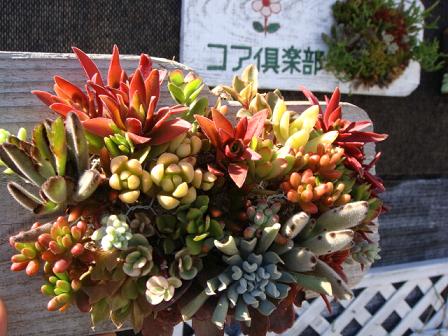 定休日^^