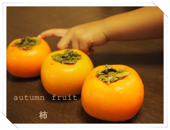 キルトニット~~~