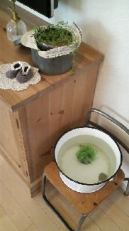 素敵なおうち